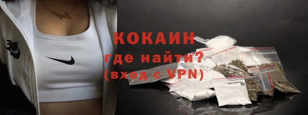 твердый Осташков