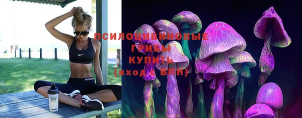 винт Новодвинск