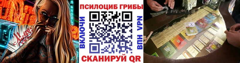 MEGA рабочий сайт  Куйбышев  Галлюциногенные грибы Psilocybine cubensis 