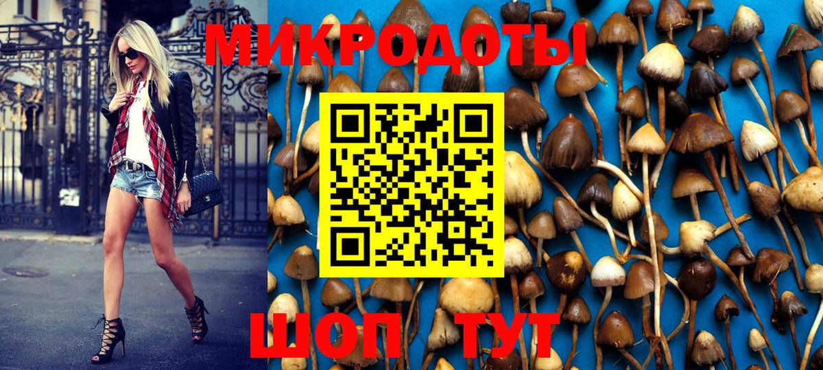 Куйбышев  Псилоцибиновые грибы Magic Shrooms  Вход с VPN 