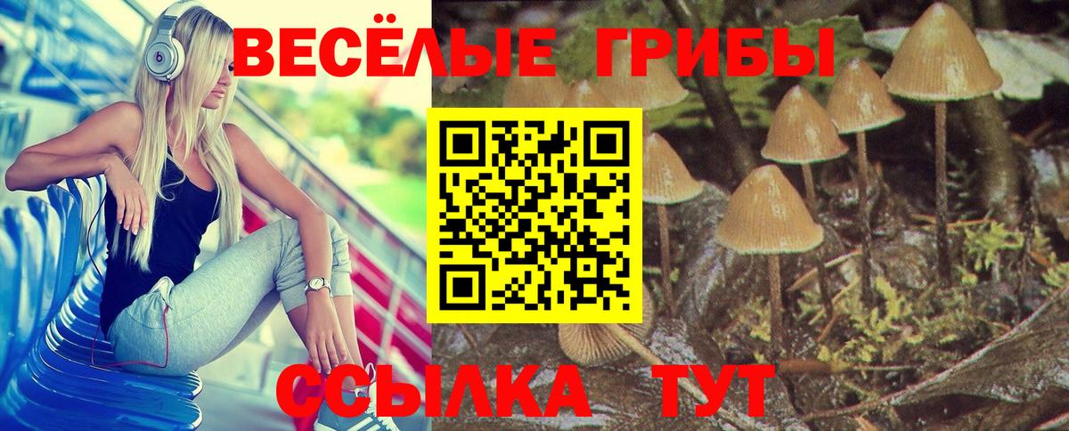 Псилоцибиновые грибы ЛСД Куйбышев